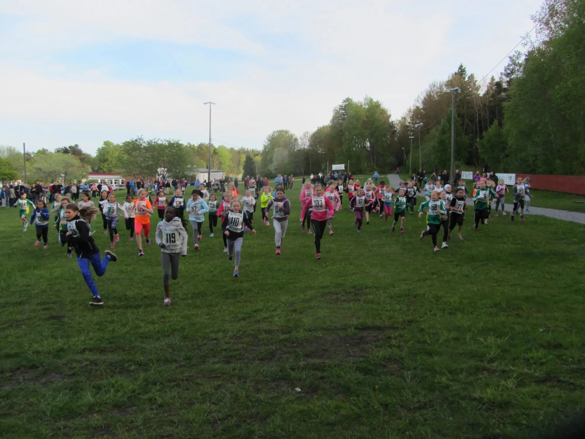 Terränglöpning 2015, Tiokampen i Upplands Väsby